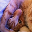 Barbara Osorio - @BarOsorio - Twitter