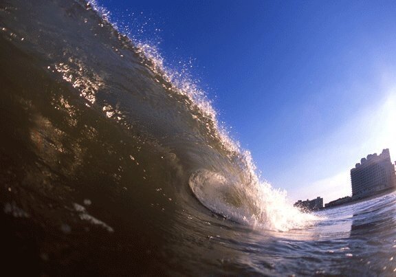 GSCES Staff Development Teacher, Instructional Leader, Lifeguard Instructor/Ocean fanatic