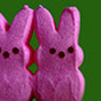 woolyknickers (@woolyknickers) 's Twitter Profile