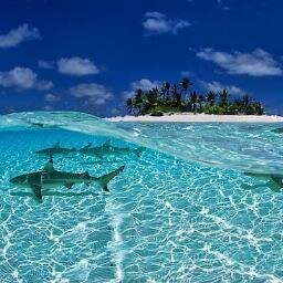 oradaolmakvar's profile picture. Fotoğraf düşkünü :)