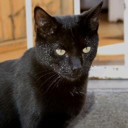 YvettesPuzzle's profile picture. 