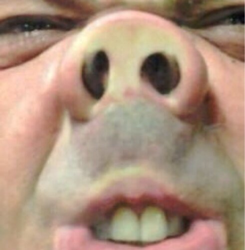 palla_dipelo's profile picture. Vivo di voi.