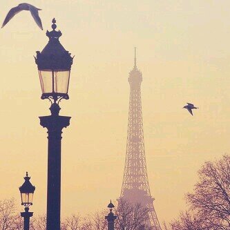 _rehab17's profile picture. 