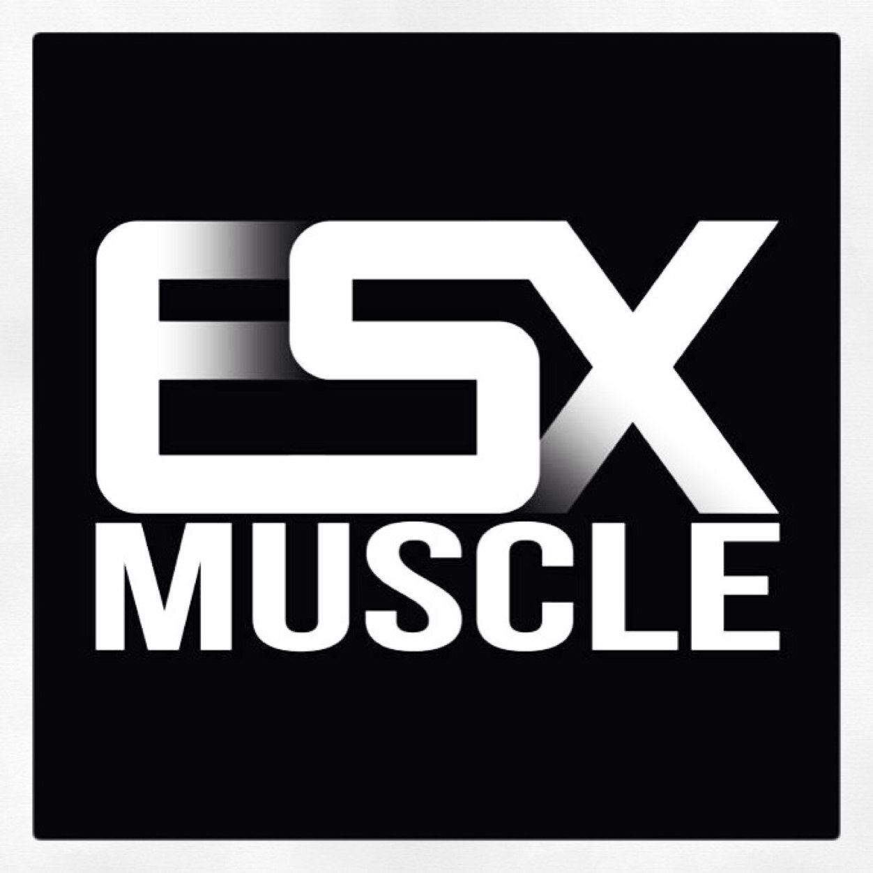 A team of Personal Trainers passionate about Health, Performance & Building Muscle. Operating out of @absalutegym Brentwood -  esxmuscle@gmail.com