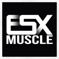 ESX Muscle (@esx_muscle) 's Twitter Profile