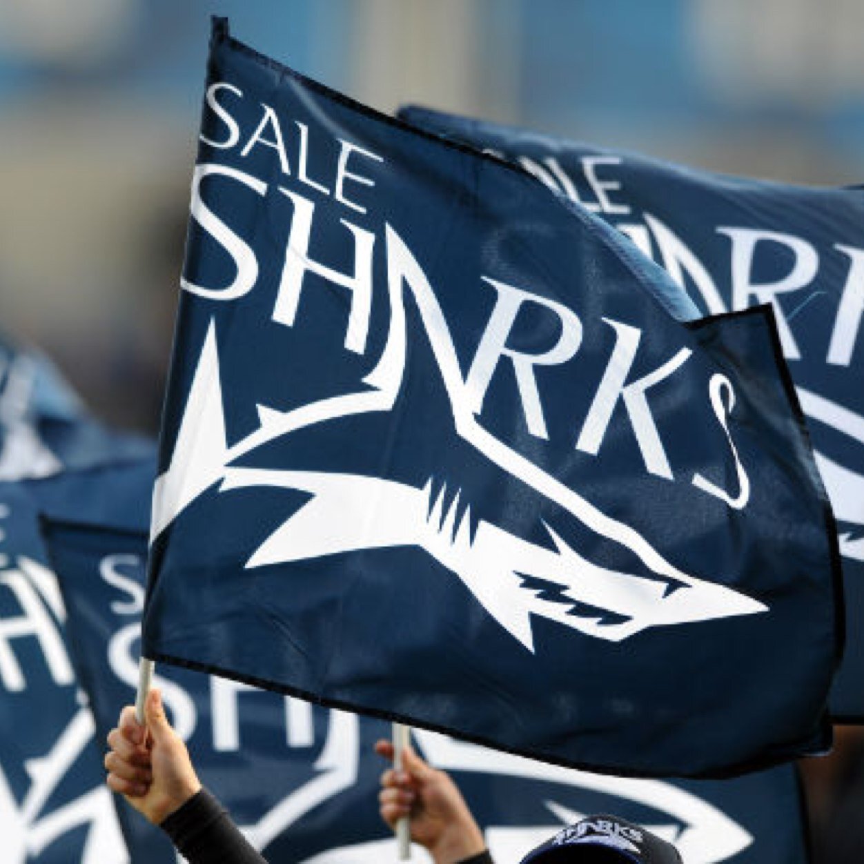 SaleSharksTweets