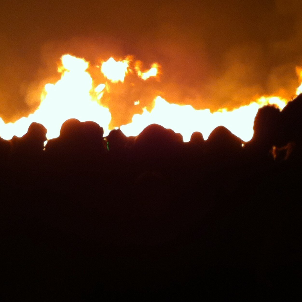 MorbidoW's profile picture. 