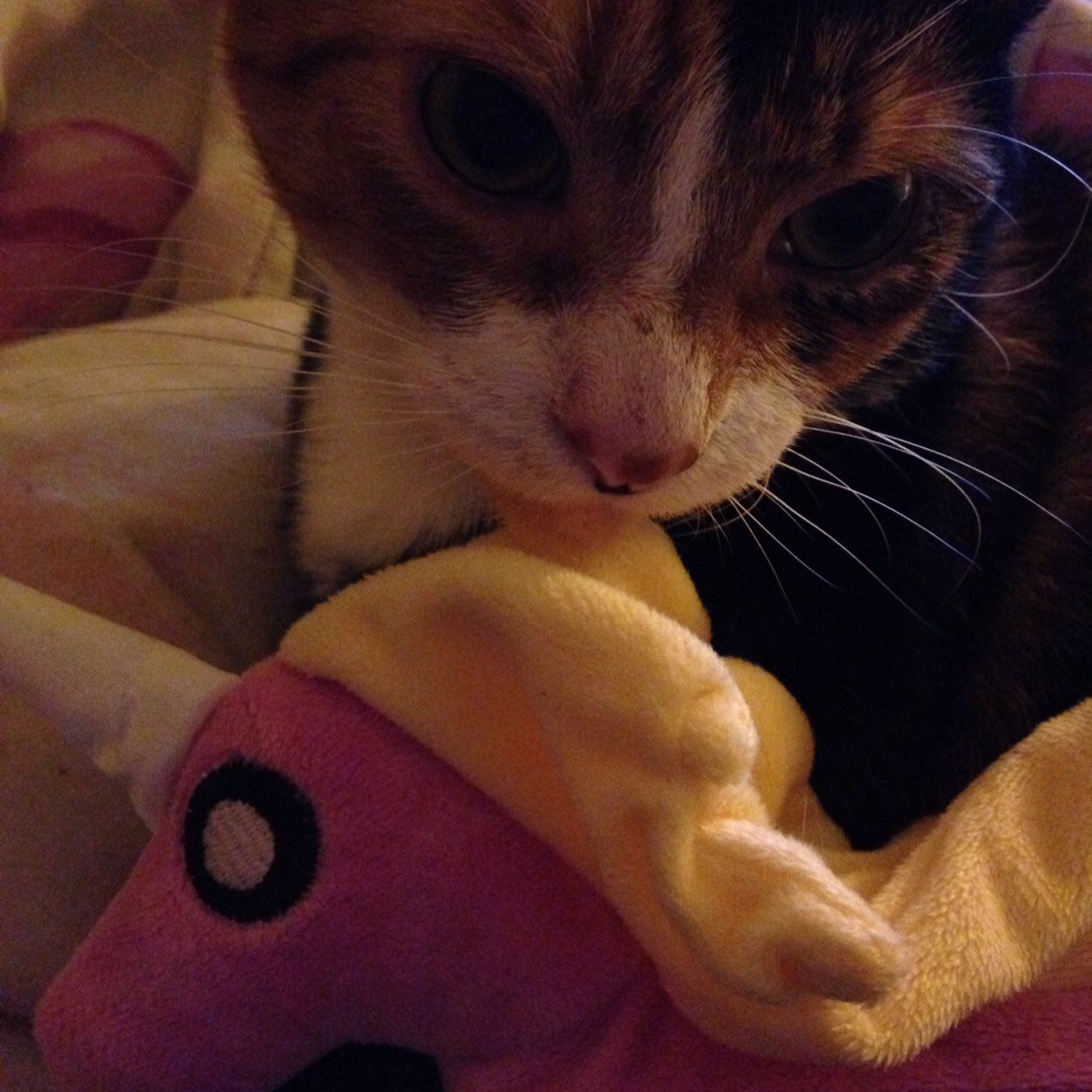 technosexuaI's profile picture. 