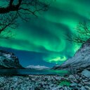 Rex Kaufman - @rexk1962 - Twitter