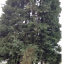 Andrew Bremner - @AndrewWBremner - Twitter