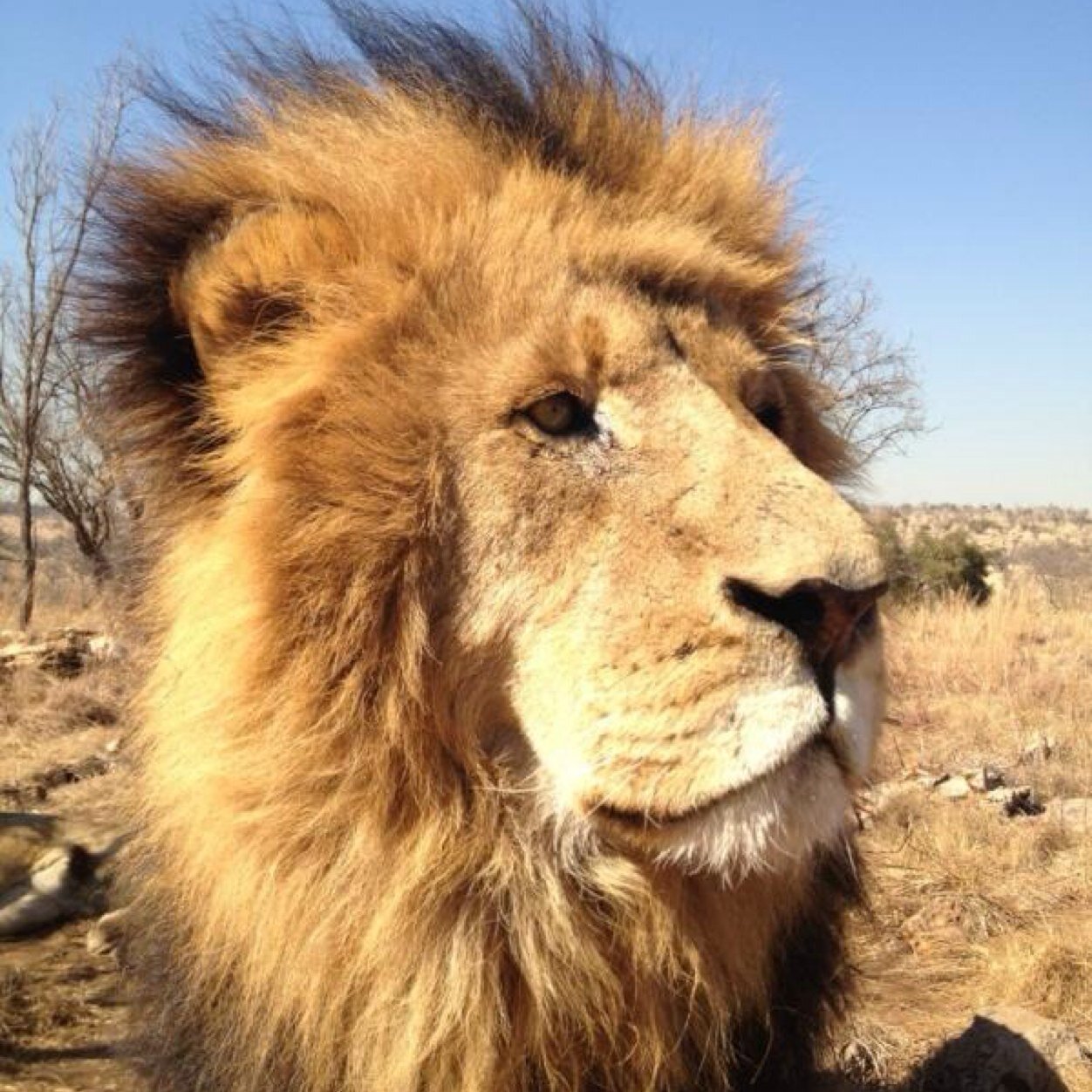 terrybleterry22's profile picture. 