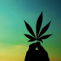 Buscando María (@buscamaria) 's Twitter Profile Photo