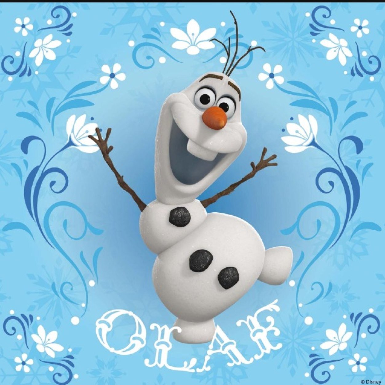 Hi i'm Olaf and I like warm hugs!