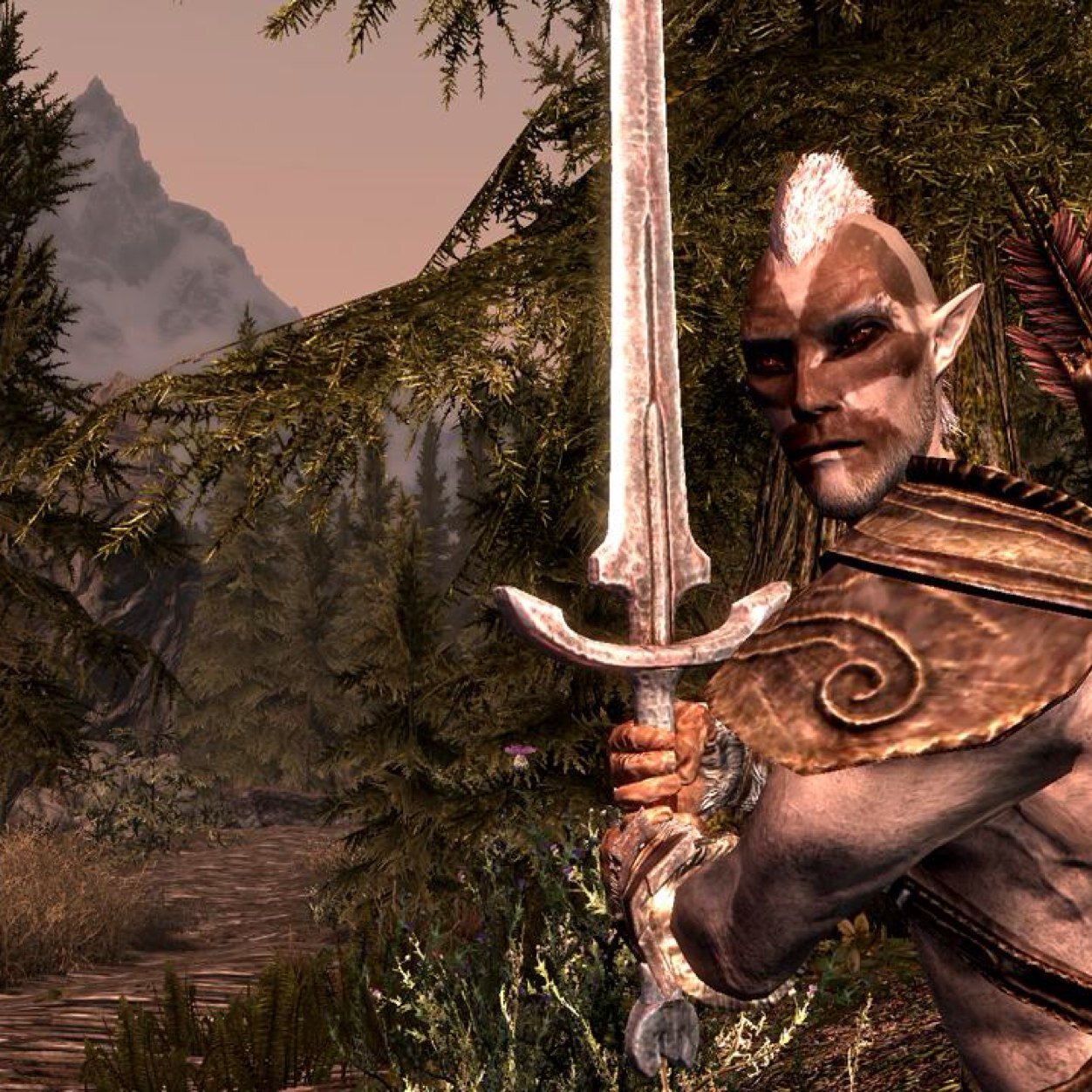 An Elf with a diary...wondering the cities and forrests of Skyrim.