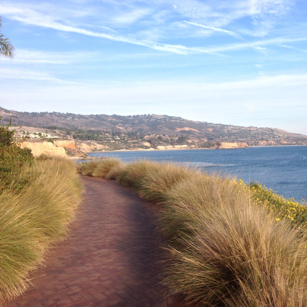 lxrebel's profile picture. 