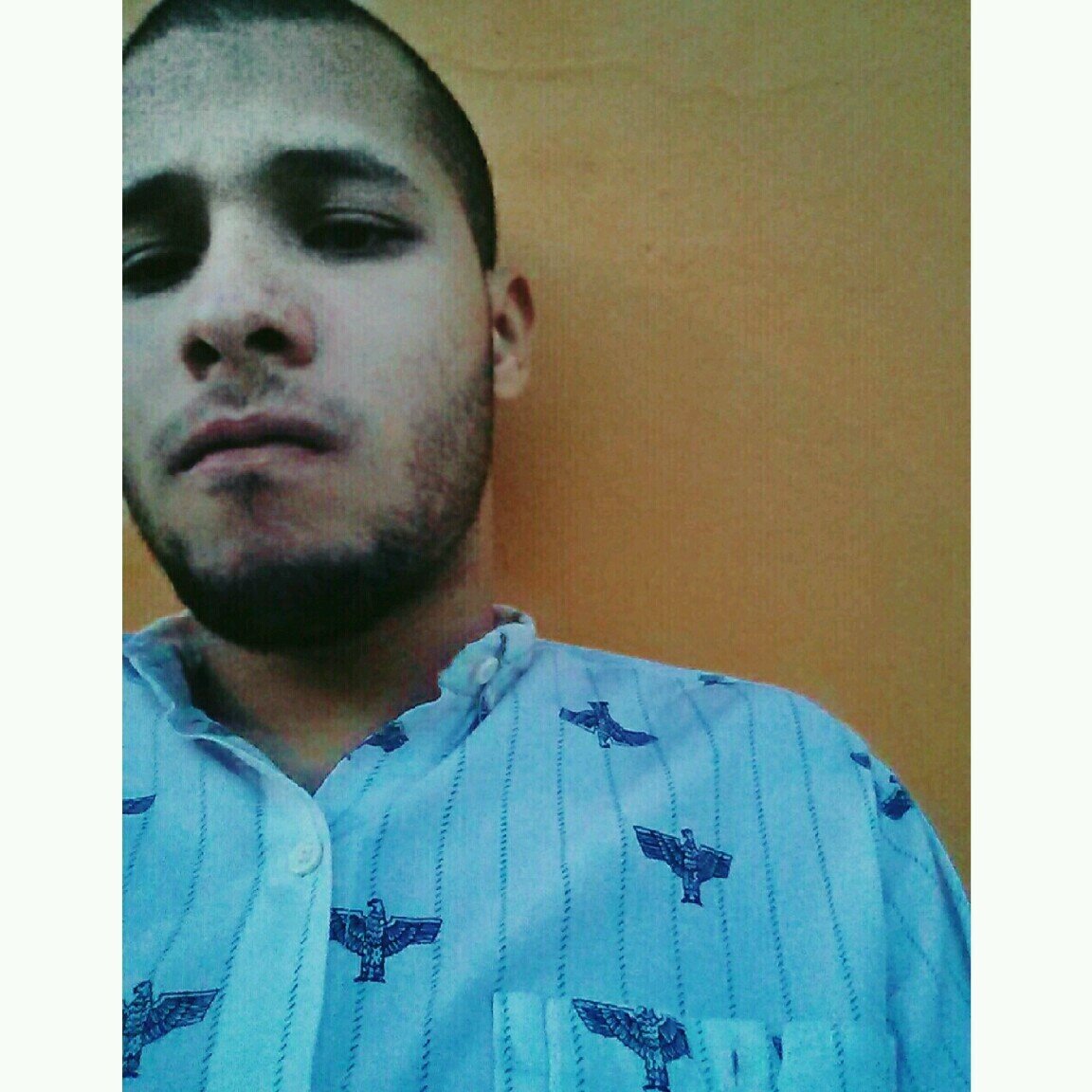 Hasta abajo desde los 16 desde chamaquita rompiendo la ley
