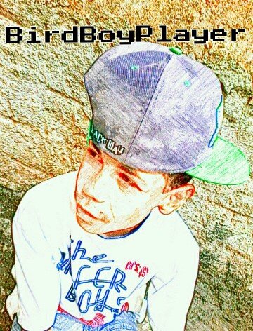 bird_player's profile picture. Olå  Sou o Bigode! amo games pricipalmente minecraft,microwars,point blank