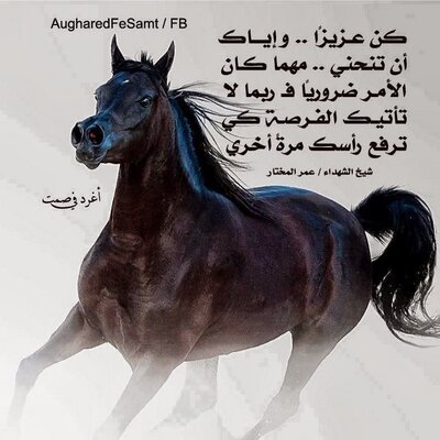 Profile Picture of Ali Ahmad Natef Nate (@AhmadNate) on Twitter