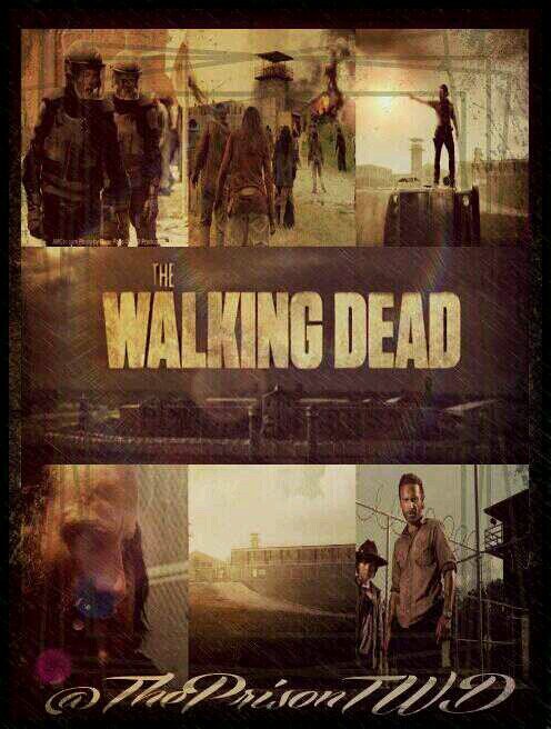 I'm Not your average safe heaven but I'm a home for People in need ;)   (ParodyAccount/FanPage. Not Affiliated with amc)