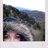 hologram1285's profile image