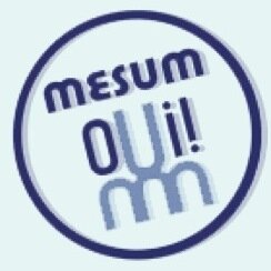 Le MÉSUM n'est affilié à aucun parti politique. Pour s'impliquer : mesumtl@gmail.com