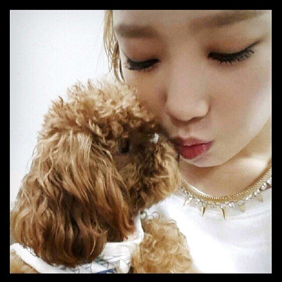 Girls' Generation's dorky leader Taeyeon here! | Born to be a Star |  #IntelRPs