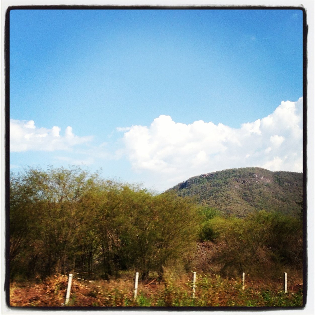 sebasti58293711's profile picture. 