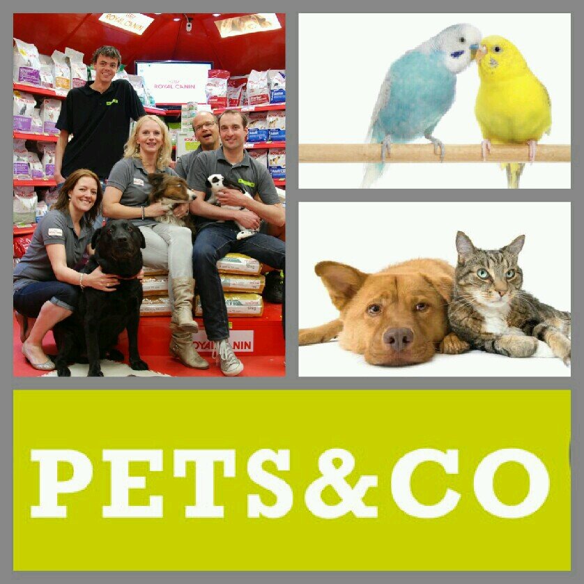 PetsencoZanting's profile picture. De leukste Pets&co dierenspeciaalzaak in het winkelhart van Colmschate!