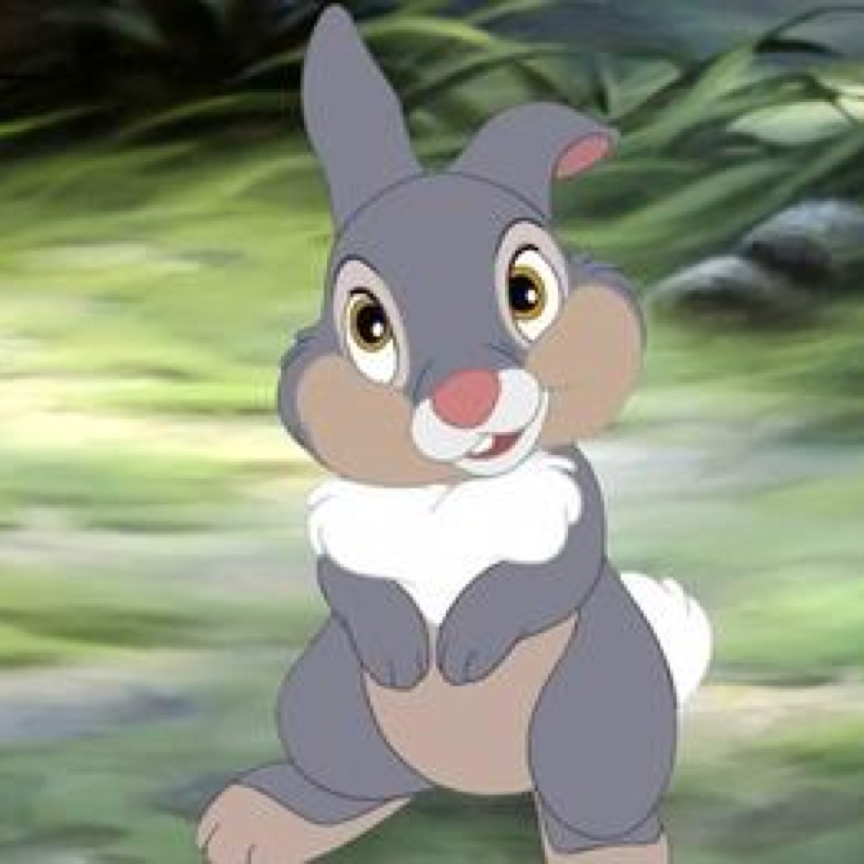 HASHTAGUCCl's profile picture. follow @SHAGDASHIAN if u want bc i gave u a free follow!