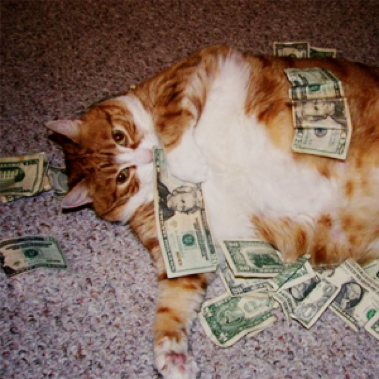 Mo cats
Mo money
Mo problems