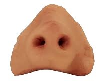 I am a snout.. That can type.. Got a problem? :D