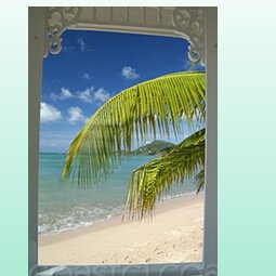 CaribZone's profile picture. The Caribzone   is a Social Media community through which the Caribbean Diaspora can connect, listen to music, share culture and mobilize.