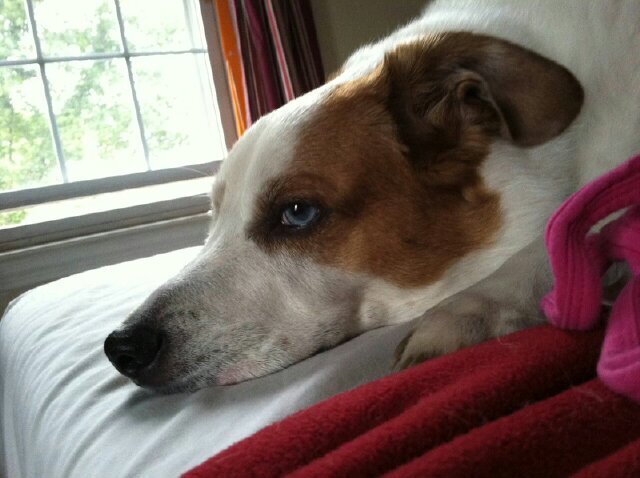 TGunk's profile picture. Mortal, for now.