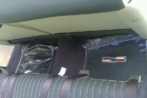 Protective Covering Systems For Floor Mats. Wipes Clean, Easy Installation, Long Lasting. Made for all Vehicles. Assorted Colors-Rose,Clear,Blue,Gold,Green