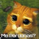 AlinShaDowLikeBosS - @GeorgeLikeBosS - Twitter