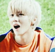 Eu sei que eles são gays , porem eles são meus maridos   ♥                        사랑 내가 당신에게 사람을 돌려