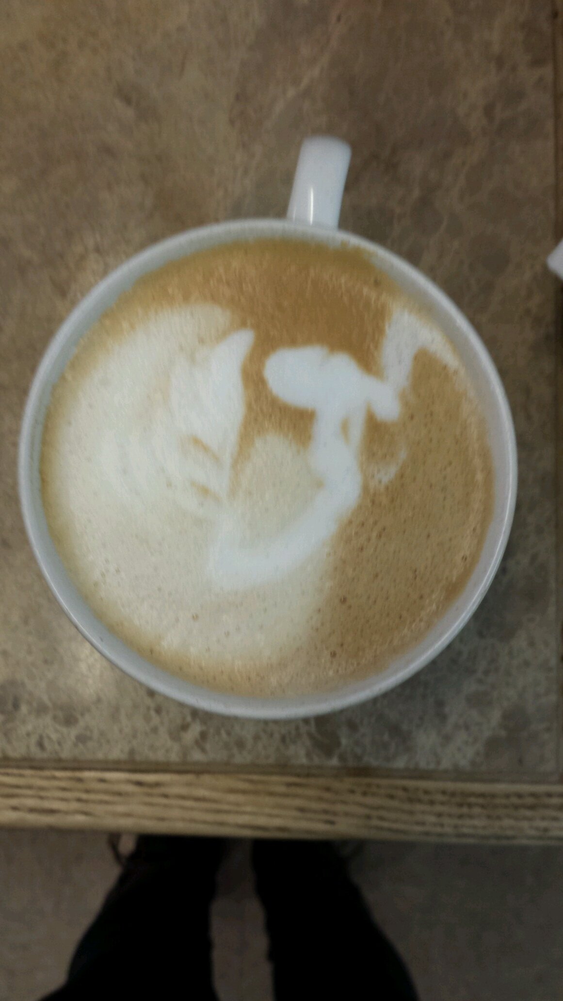 crazybaristas's profile picture. The crazy ridiculous girls from the coffee world.