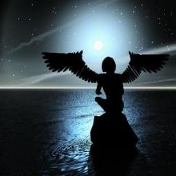 HebingBrigitte's profile picture. 