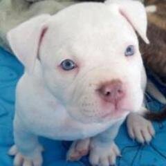 conocer gente  rumbear pasear etc,,,,,,