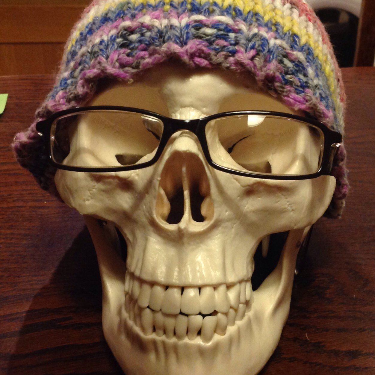 RevErasmus's profile picture. Mother. Motorcycle courier.  Specialist Leader of Education. MyScience consultant. Ex-teacher.