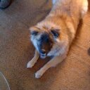 Bill Tetzlaff - @DevilDogDoc1 - Twitter