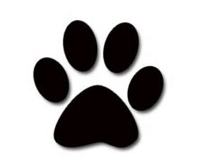 Abandoned Paws Rescue is dedicated to providing you information on how to start the process of pet adoption.