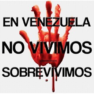 Habibintibisay's profile picture. 