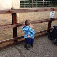Bradley Quinton (@bobbyquinton) 's Twitter Profile