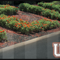 Pontotoc Staff (@pontotocpress) Twitter profile photo