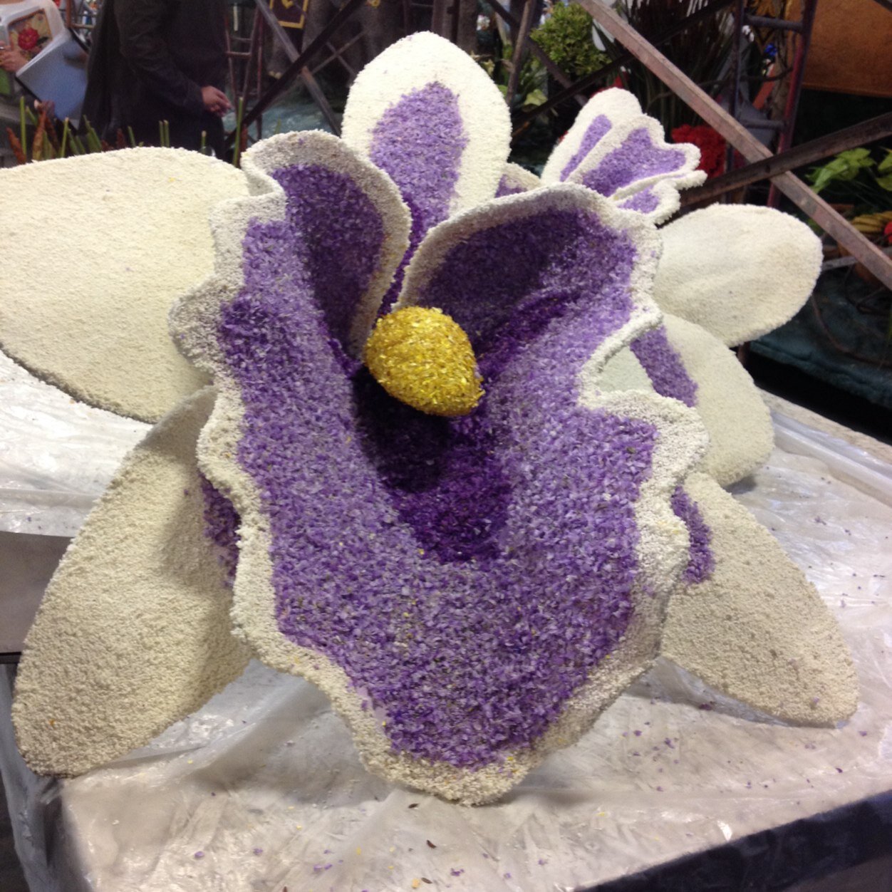 manningfan3's profile picture. 