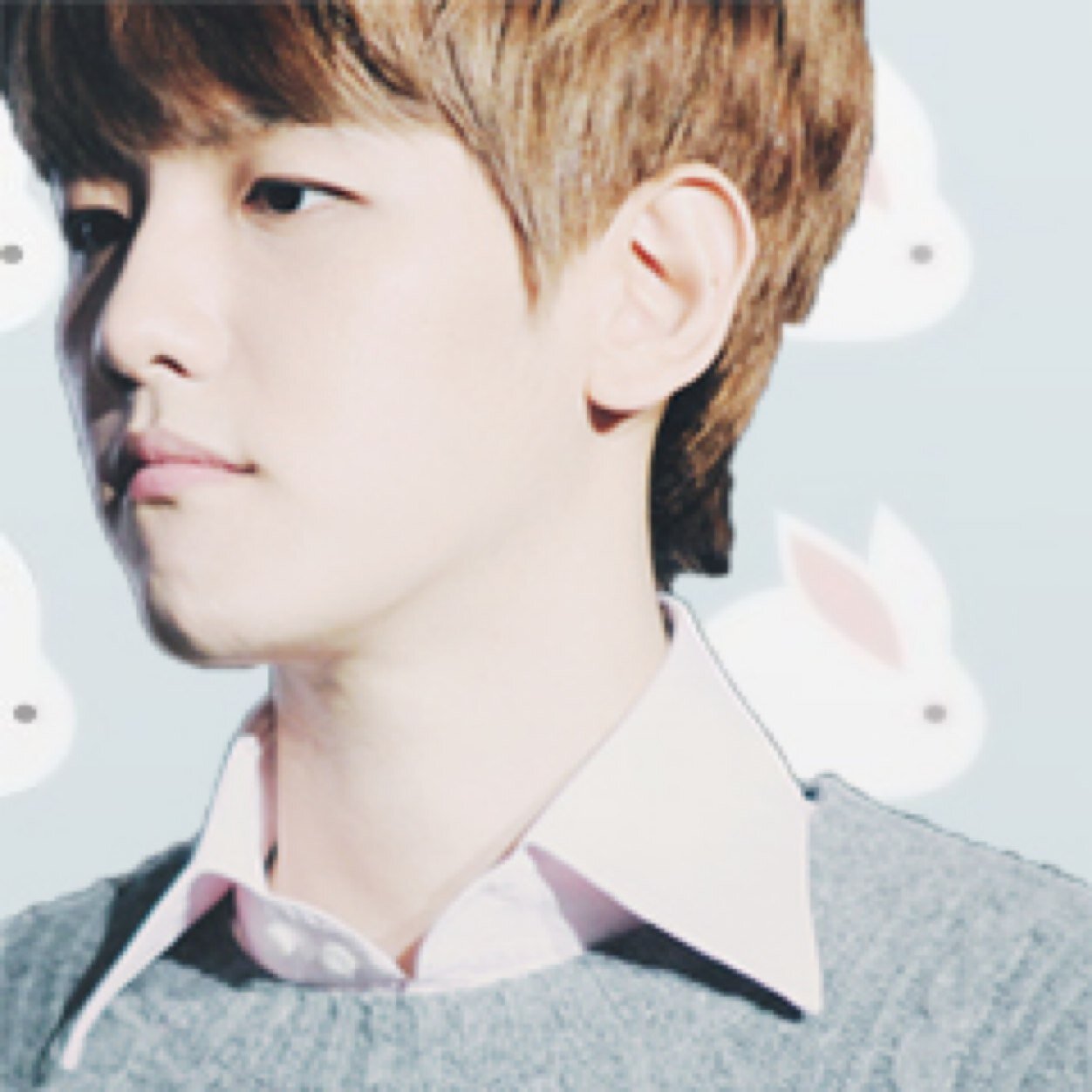 ❅ exo, rainbow, shinee, glitter, bts, unicorns, suju ❅
