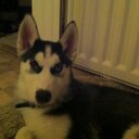 Alex (@AlexMPethick) Twitter