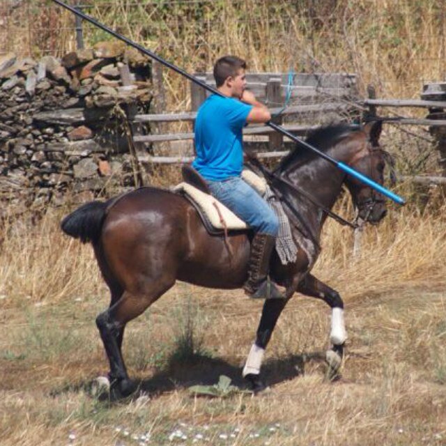 Amante incondicional del toro bravo y el caballo.