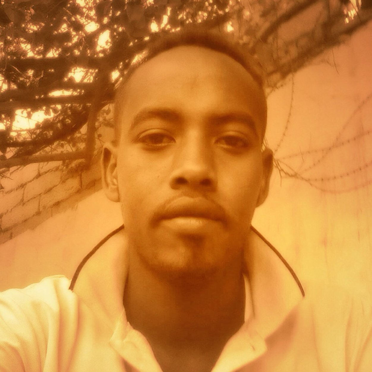 abdi abdullahi (@abdi_jelle1) | Twitter
